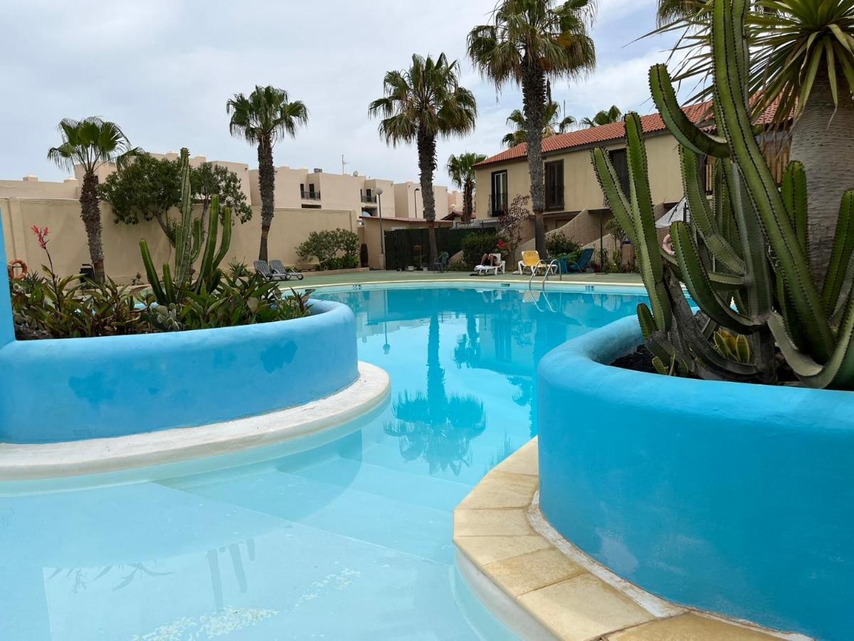 Surf & Chill Bungalow 69, Quiet Green Oasis With Community Swimmingpool Parque Holandes Buitenkant foto