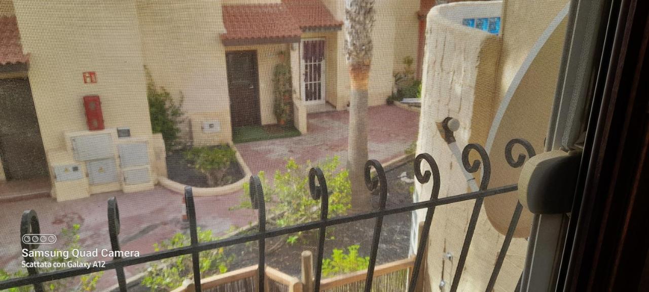 Surf & Chill Bungalow 69, Quiet Green Oasis With Community Swimmingpool Parque Holandes Buitenkant foto