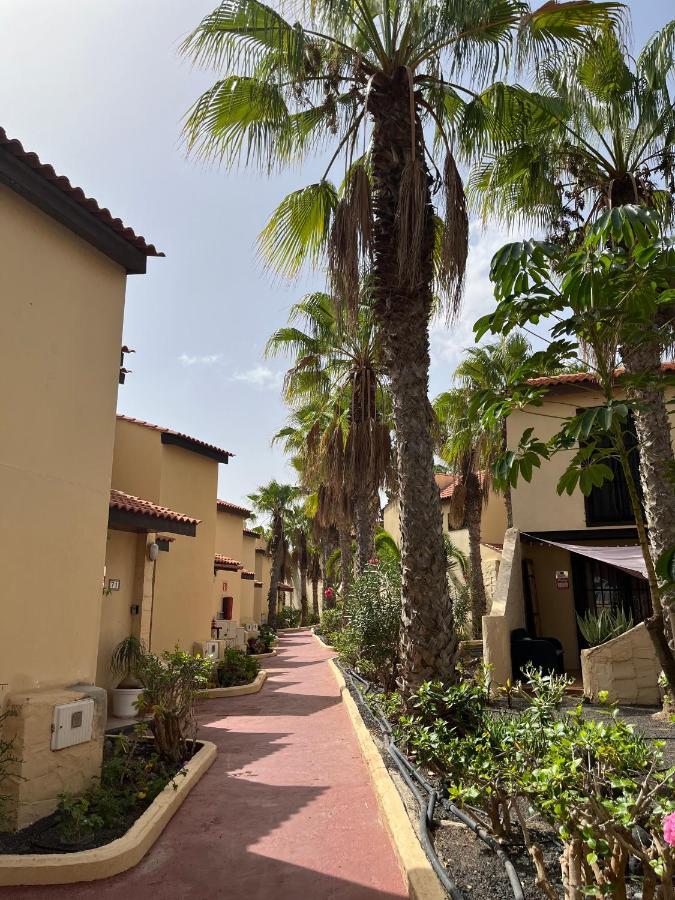 Surf & Chill Bungalow 69, Quiet Green Oasis With Community Swimmingpool Parque Holandes Buitenkant foto