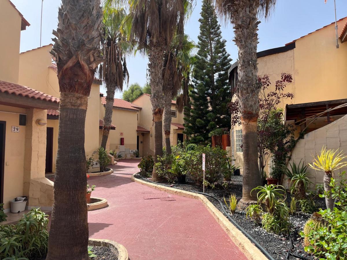 Surf & Chill Bungalow 69, Quiet Green Oasis With Community Swimmingpool Parque Holandes Buitenkant foto