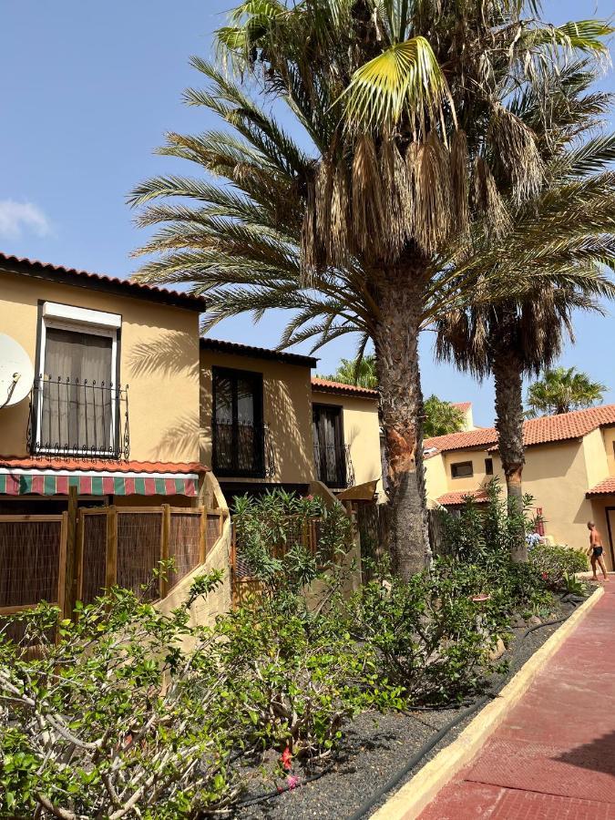 Surf & Chill Bungalow 69, Quiet Green Oasis With Community Swimmingpool Parque Holandes Buitenkant foto