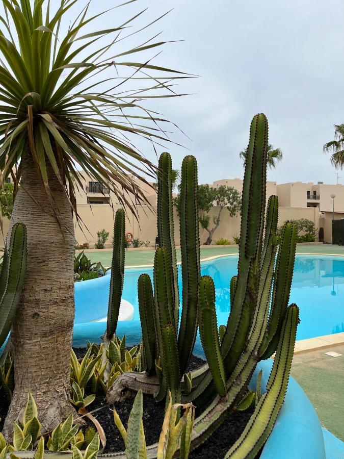 Surf & Chill Bungalow 69, Quiet Green Oasis With Community Swimmingpool Parque Holandes Buitenkant foto