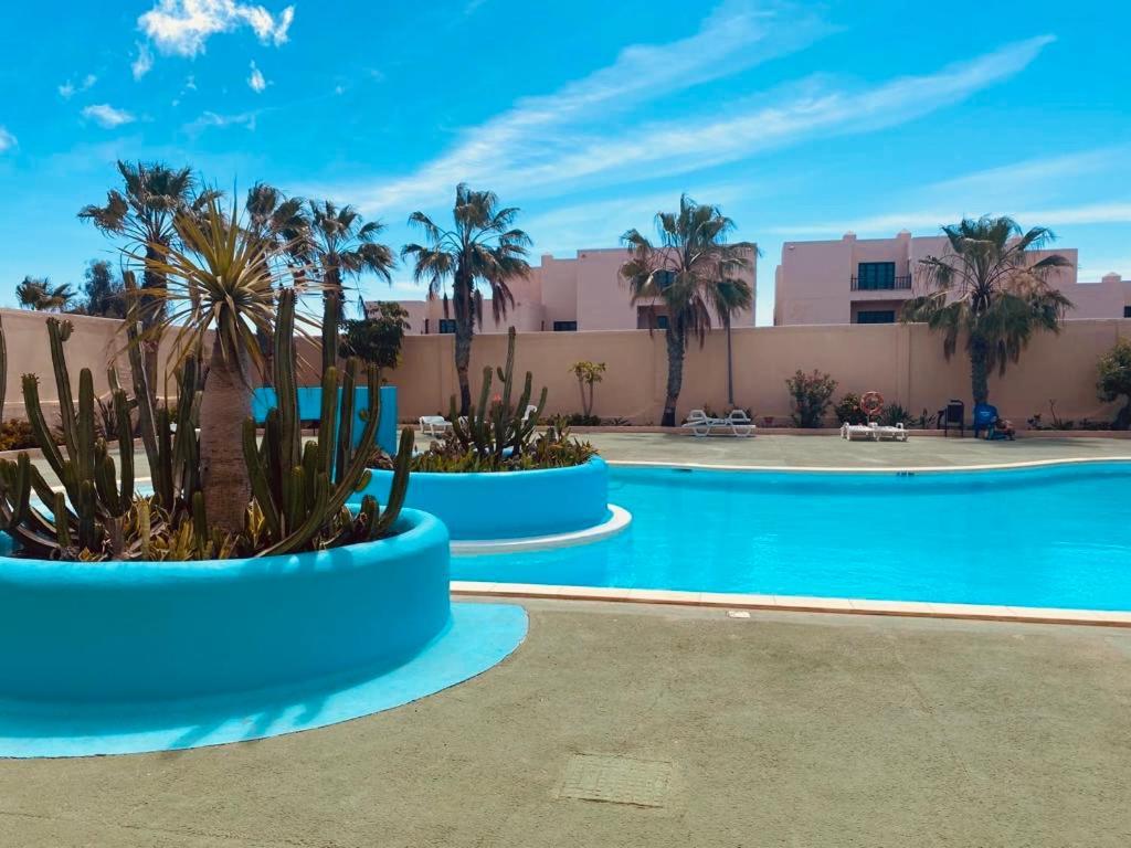 Surf & Chill Bungalow 69, Quiet Green Oasis With Community Swimmingpool Parque Holandes Buitenkant foto