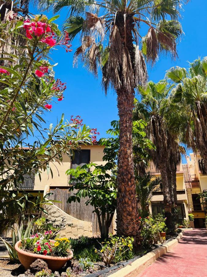 Surf & Chill Bungalow 69, Quiet Green Oasis With Community Swimmingpool Parque Holandes Buitenkant foto